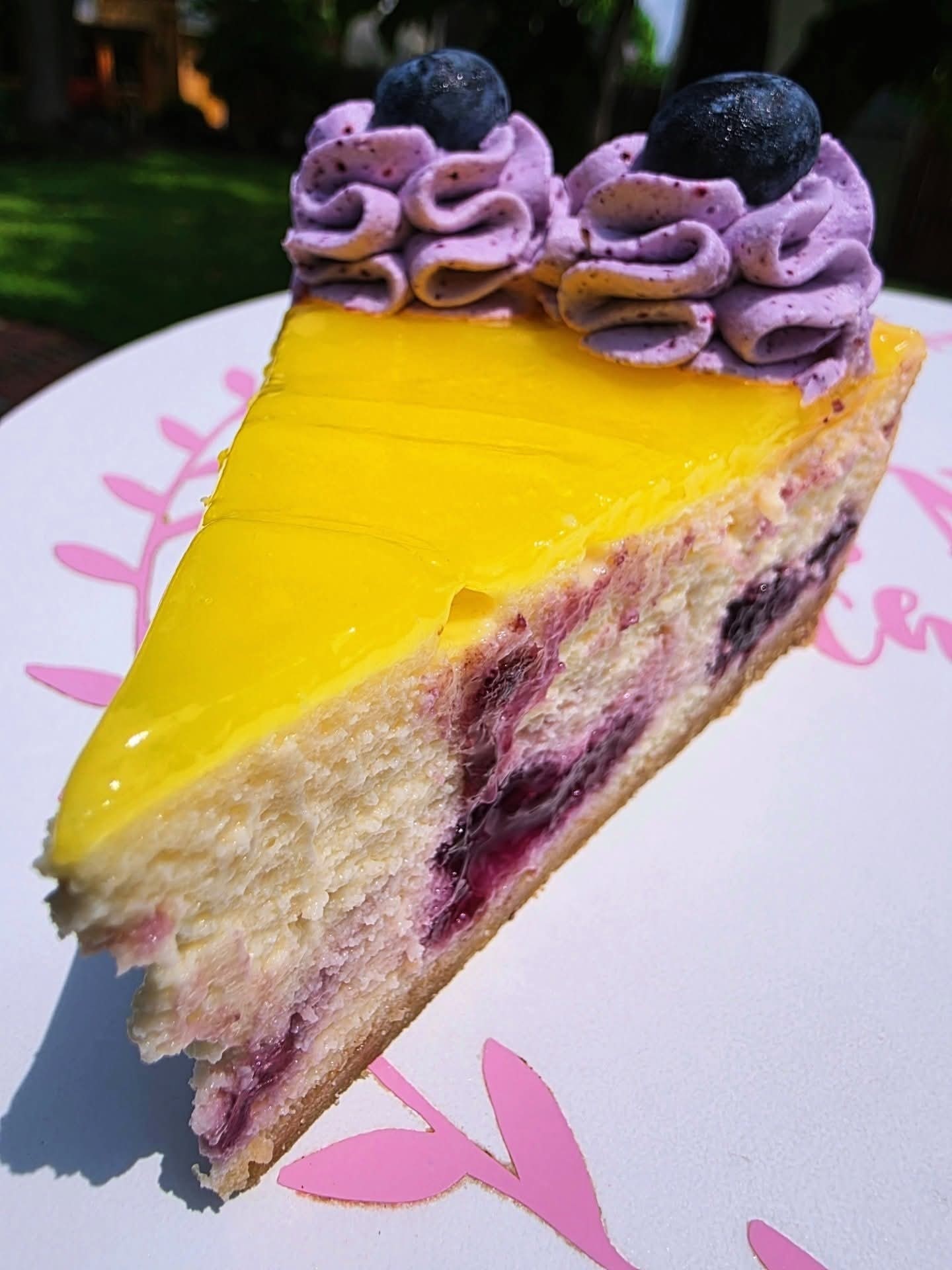 Cheesecake 14