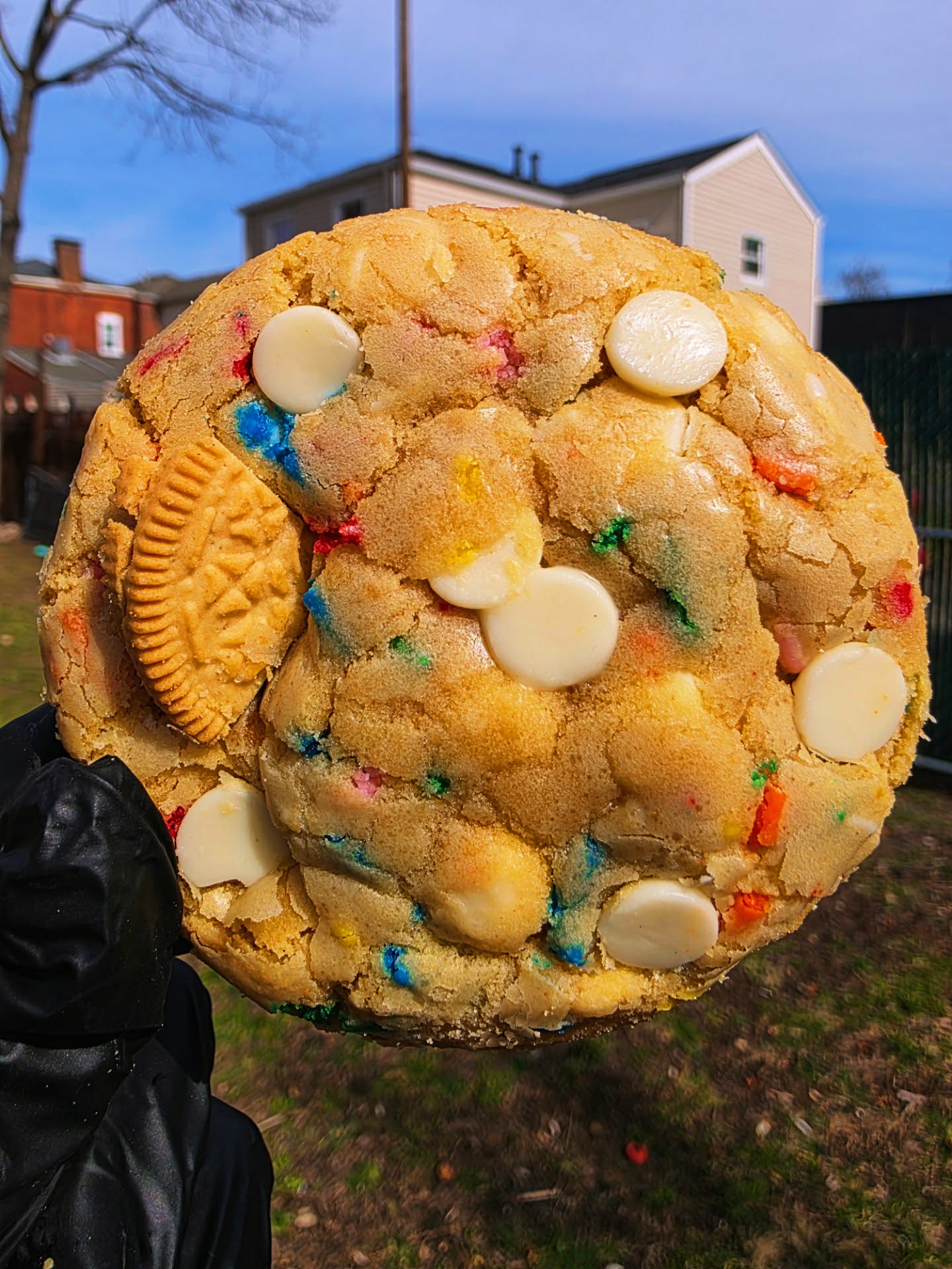 Bertos-Bday-Cake-Cheesecake-Filled-Cookie