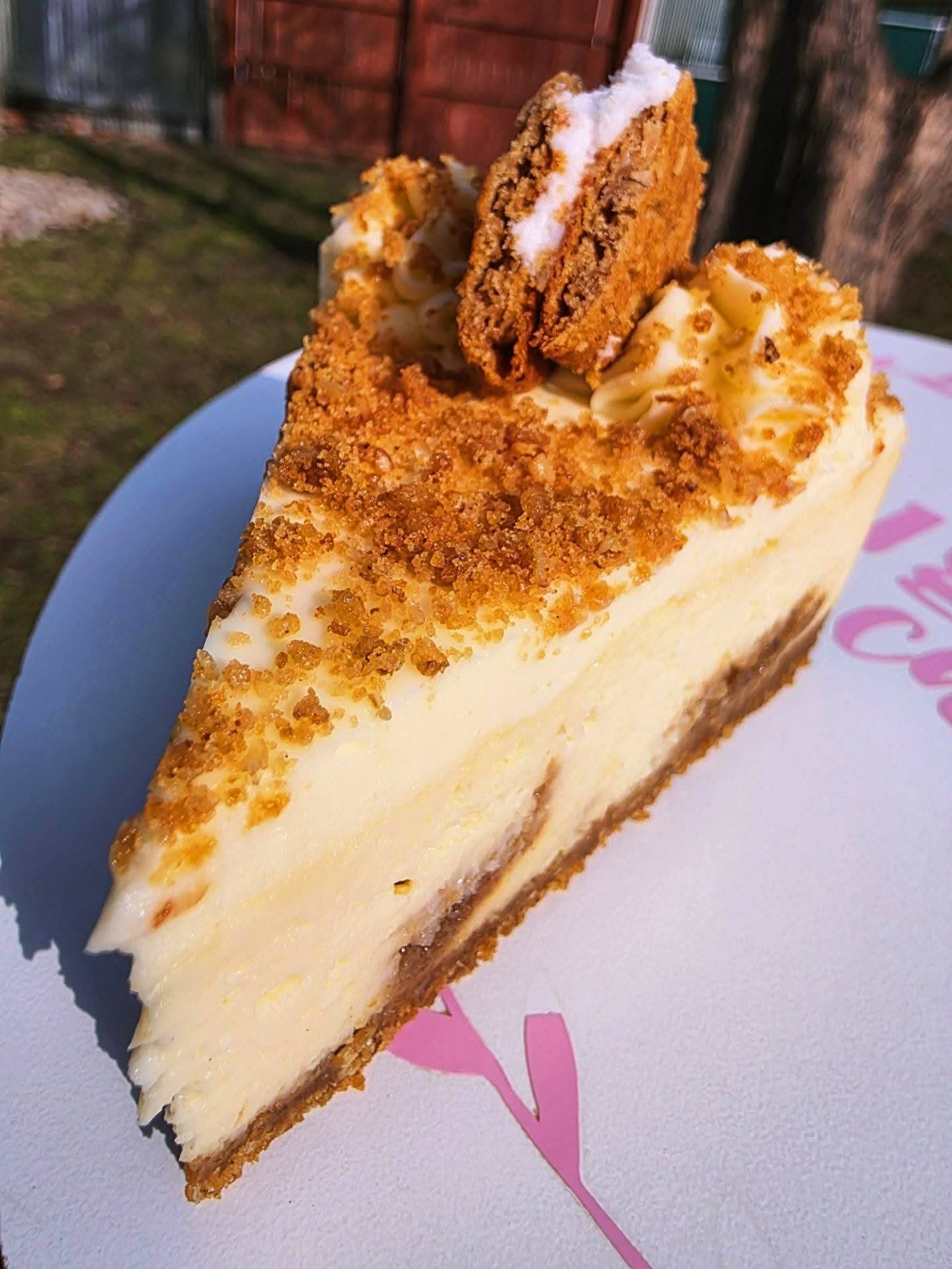 Oatmeal-Pie-Cheesecake