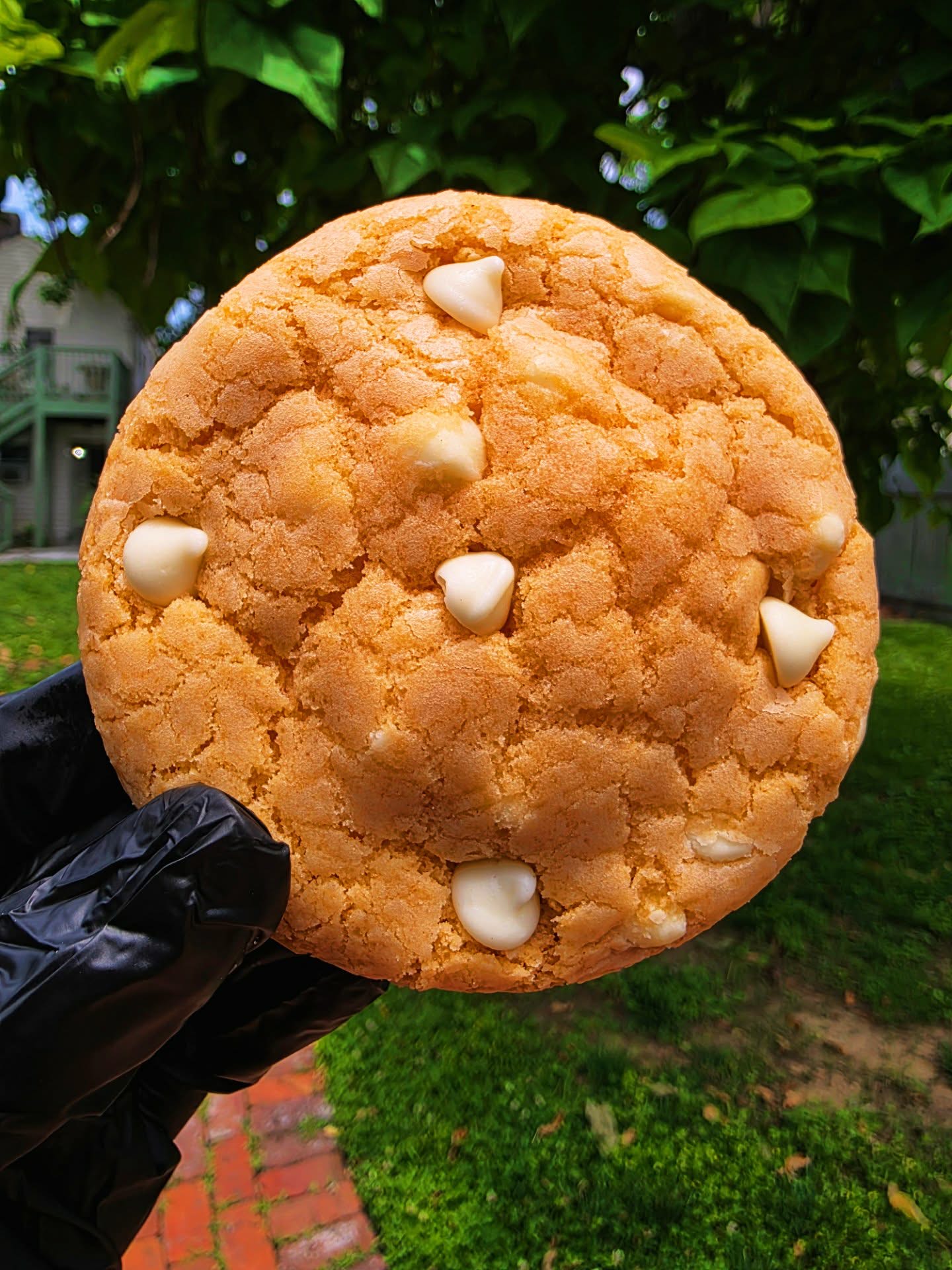 Orange-Creamsicle-Cheesecake-Filled-Cookie