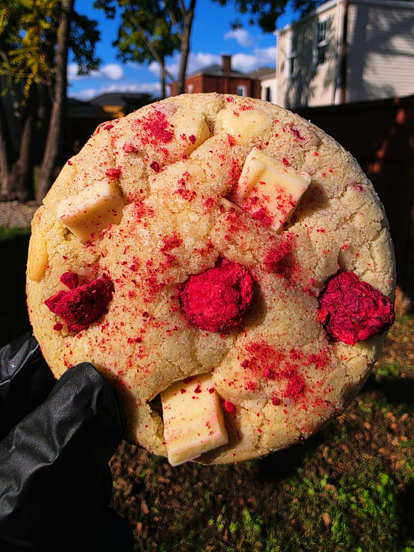 White-Choc-Raspberry-Cheesecake-Filled-Cookie