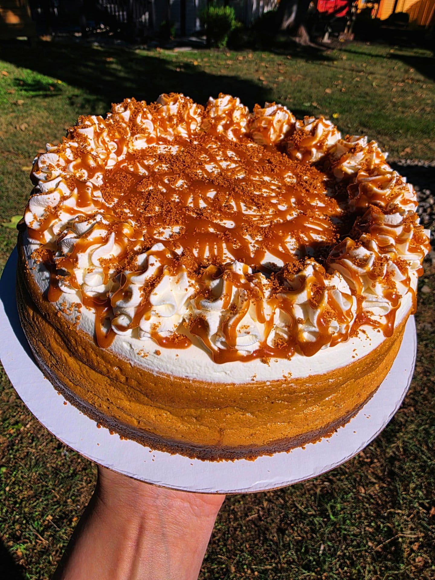 Whole-Caramel-Pumpkin-Cheesecake