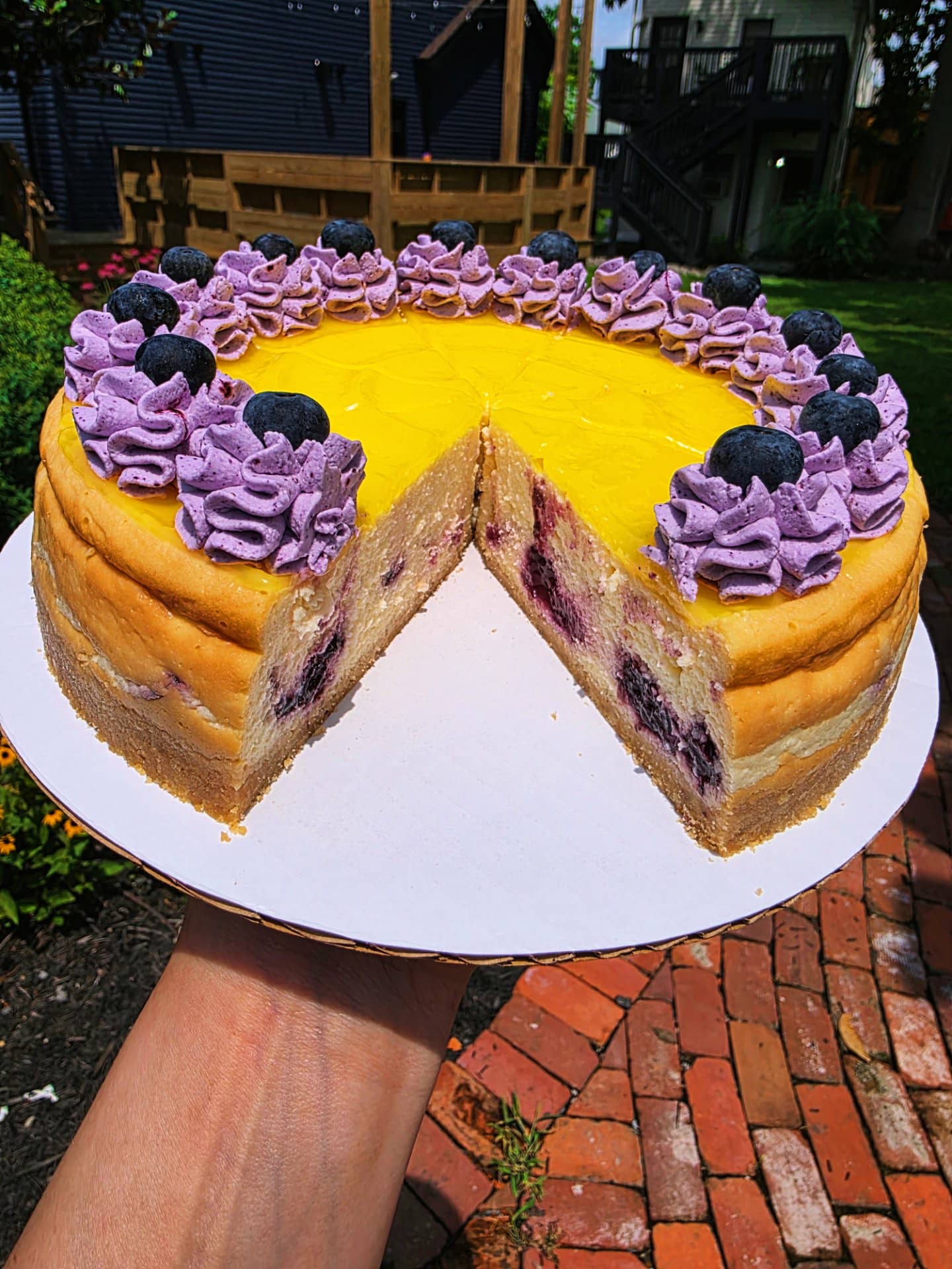 Whole-Lemon-Blueberry-Cheesecake
